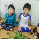 금화유치원 이미지