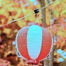 별화 | 머리가 복잡할 땐 멘토가 필요하다고요? 별화선녀 체험 후기 대공개!