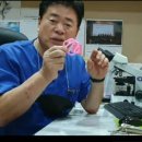 소피아여성의원 이미지