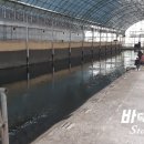 농촌지 낚시터 이미지