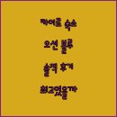 오션블루 | 카이로 오션 블루 스튜디오 숙박 후기, 최고의 선택이었을까?