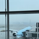 932 | 대한항공 파리In, 로마Out 직항 KE901, KE932 탑승 후기 :: 항공권 왕복 110만원, 모바일 체크인, 좌석...