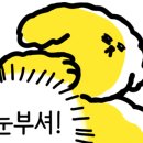 힐링PC방 이미지