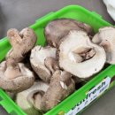 프레시박스 네이버블로그