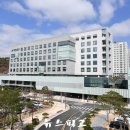 예산게임장 뉴스파고