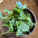 안안베트남쌀국수 | 부산 해운대 동백역 베트남 쌀국수 맛집 포헤미안 방문 후기