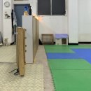 초롱애견 이미지