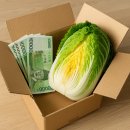 [국비] 네이버 스마트스토어 쇼핑몰 운영 과정 / 오전 / 24.06.04 | 2025 절임배추 가격과 구매 팁 총정리