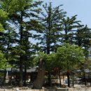 통도사로 이미지