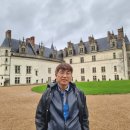 프랑스 앙부아즈 성을 방문하다 (Visit to Amboise Castle, France) 2022.11.16