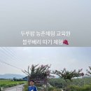 두루팜 네이버블로그