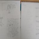 모모수학학원 이미지