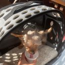 능원식당 이미지