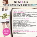 슬림앤레그 - 부산진구 서면로 67 | 슬림앤레그