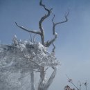 지리산서바이벌 이미지