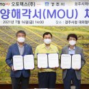 오토렉스 이미지