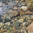 스타펜션 이미지