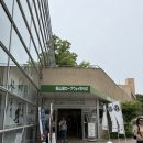 하프타임 진하점 | 성, Crepe cafe coco, 토리지로, 고이치, 크림브륄레, 돈친코 솔직후기 ! (feat. 하루종일 먹기만 한 날)