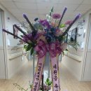 시영의료재단영동병원 이미지