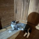 소양참숯찜질방 이미지