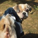 관우농장 이미지