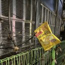 양천향교역 3번출구 이미지