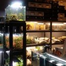 에스엔알(SNR) 이미지