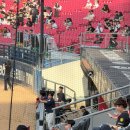 박소영왕만두왕찐빵 | 광주 기아 챔피언스 필드 직관 후기 I 롯데 VS 기아 경기 (+) 날씨돌 당첨 테이블석 시야