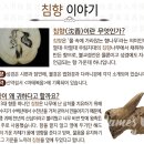 케이메디팜 이미지