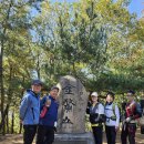 경주 남산및 동아마라톤 이미지