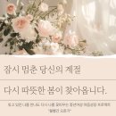 [볼빨간오춘기] 다시 따뜻한 봄이 찾아옵니다. 이미지