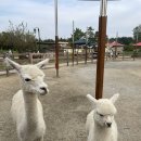 (주)감성