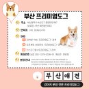 도그마트애견샵 네이버블로그