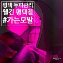 웰킨평택점