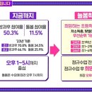 늘봄 이미지