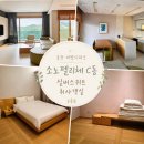 소노펠리체 | 홍천 비발디파크 소노펠리체 실버스위트 C동 취사 객실 후기 (구조·컨디션 정리)