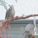 진진공인중개사사무소 이미지