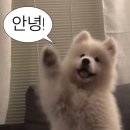 5월 wishlist / 원쇼핑몰 위시리스트 &#39;유인어스&#39; / 지그재그 위시리스트