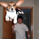 끼리끼리 이미지