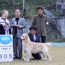 부마클럽 이미지