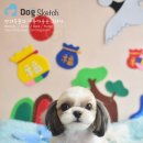 Happy 애견샵 이미지