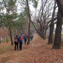 대공원역 2번 출구 앞 이미지