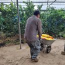 철이농장 이미지