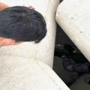 태안파출소 이미지