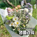 영플라워 - 서구 도산로 37 | 진주 평거동 꽃집 <영플라워>에서 들꽃 무드의 맞춤 꽃다발 내돈내산 후기 | 생일 꽃다발, 기념일...