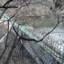 정자세천 이미지