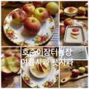 호준농장 | 양평 용문산 여행 호준이장터농장 여름사과 수확체험 햇사과