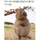 생활웃음 이미지