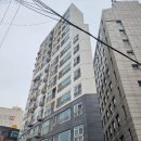 (주)자연채 네이버블로그