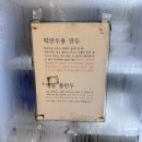청춘역1979 공원 앞 | [청실홍실 주안직영점]인천 모밀 대장/시민공원역 맛집 솔직 후기